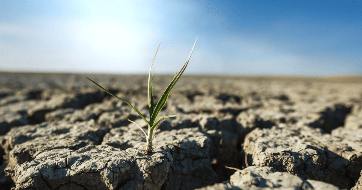 Le monde pourrait être entré dans une période de réchauffement climatique de plus de 1,5°C à long terme, selon des scientifiques