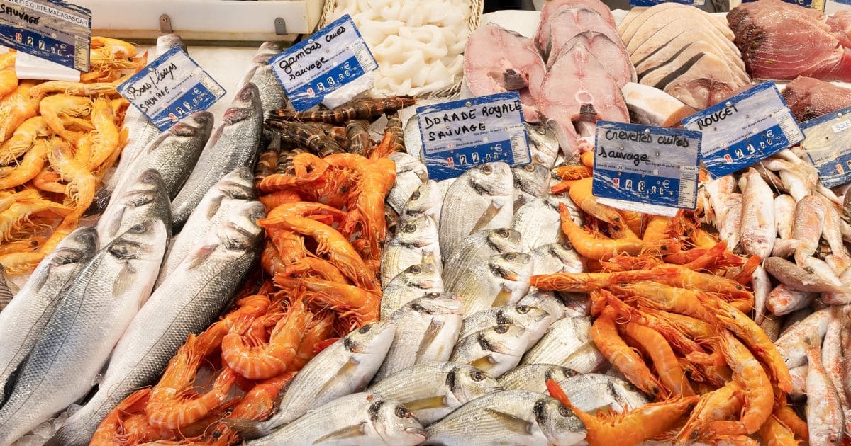 صادرات منتوجات الصيد البحري