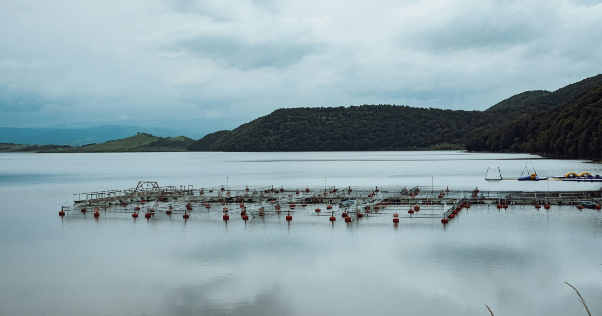 قطاع تربية الأحياء المائية