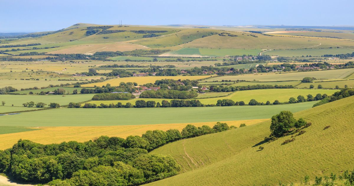 البنك الوطني الفلاحي