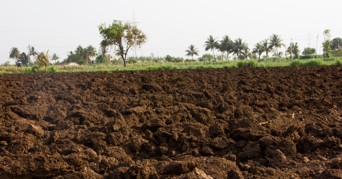 Lancement du projet Soil Matters en Tunisie
