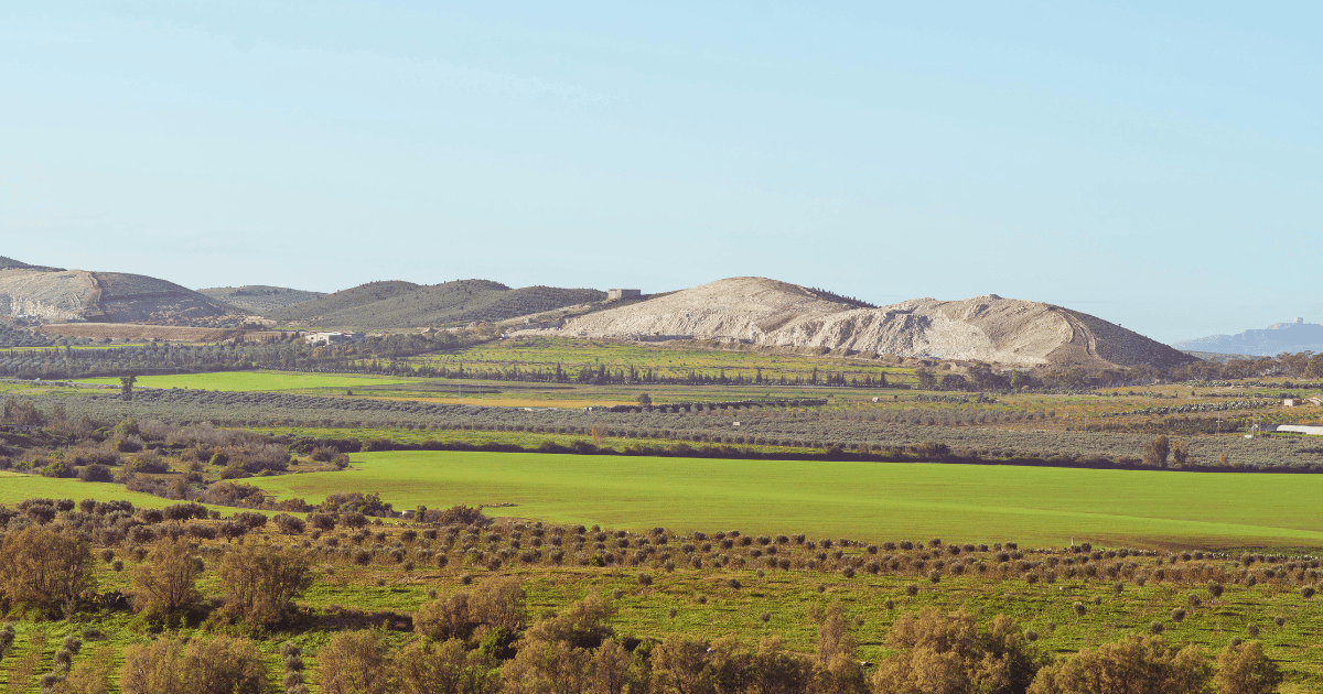 تأهيل وحماية أكثر من 12 ألف هكتار