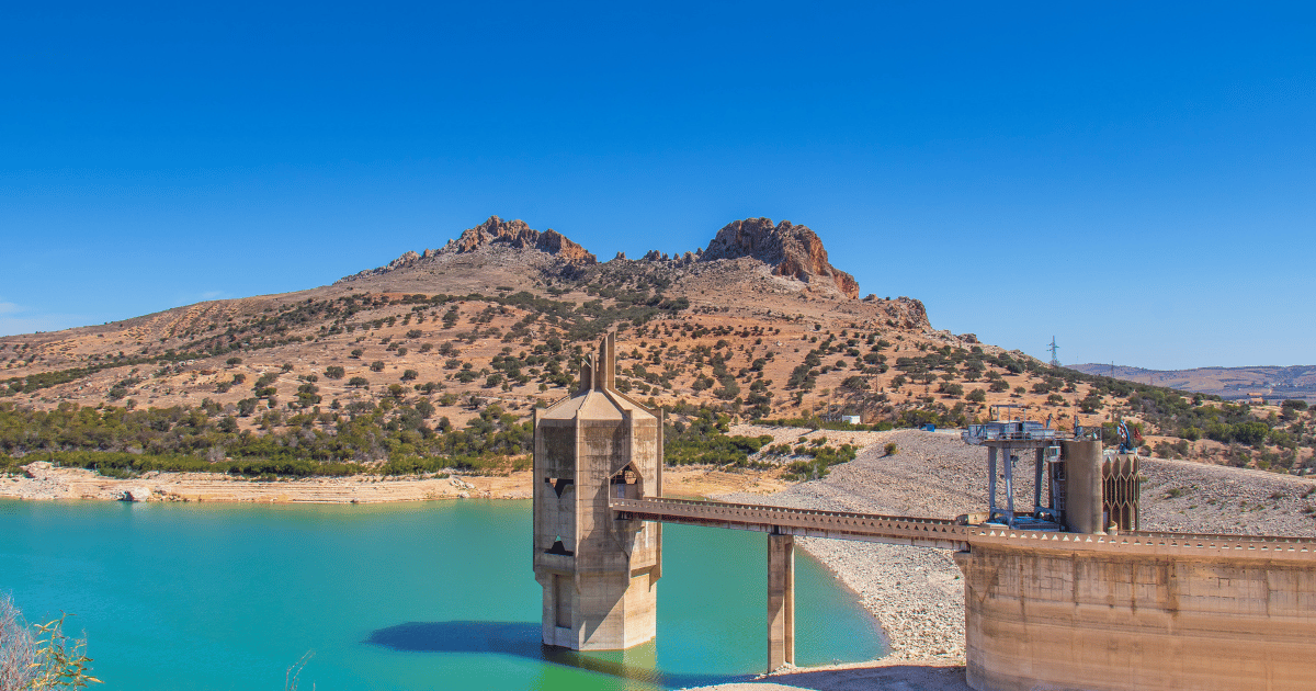 مهرجان الفلاحة المتجددة