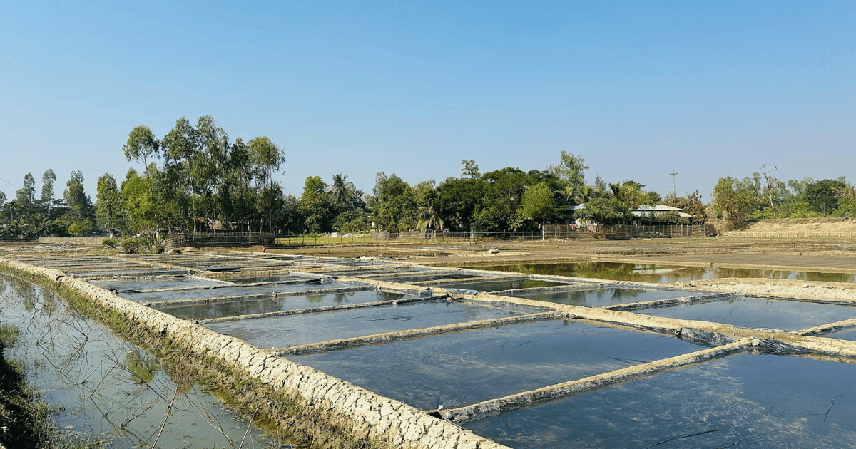 دليل عملي لتربية الأحياء المائية