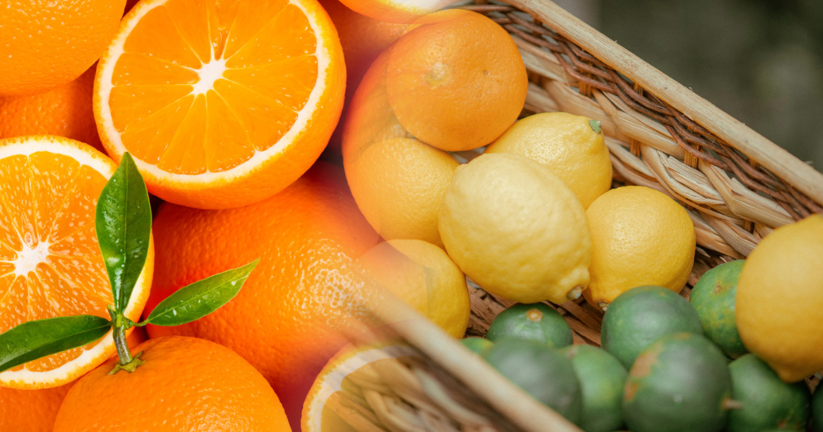 Hausse de 46% des exportations des agrumes