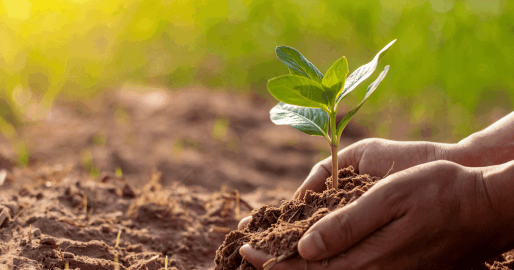 Dégradation des sols en Europe