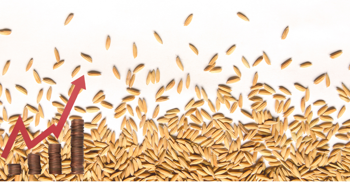 أسعار قبول الحبوب