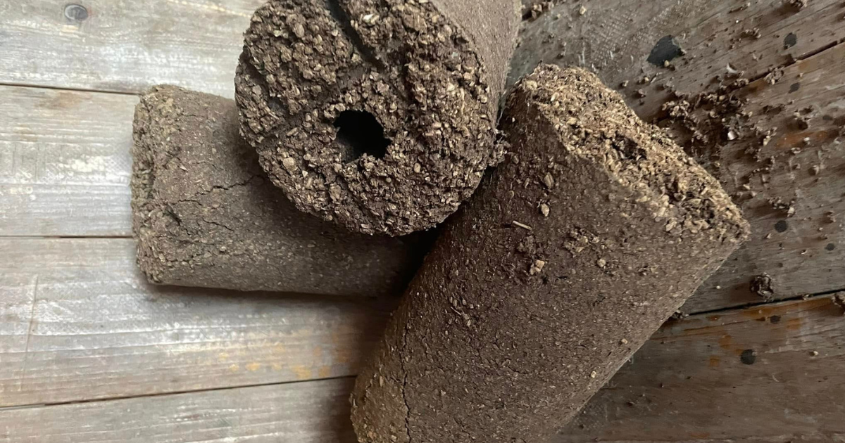 وقود صديق للبيئة