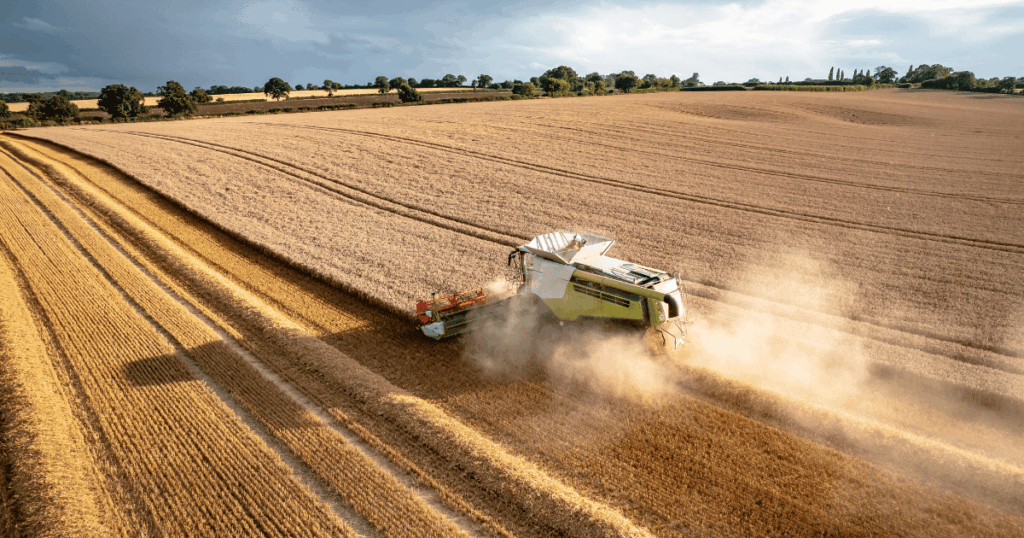 انطلاق موسم الحصاد