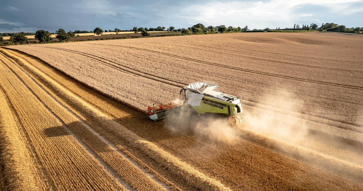 انطلاق موسم الحصاد