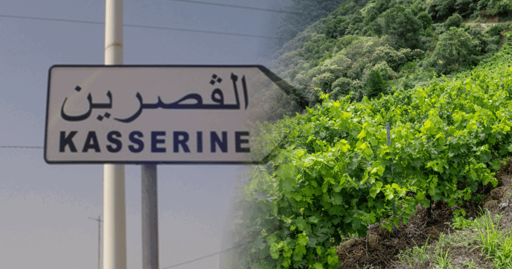 مشروع التنمية الفلاحية المندمجة