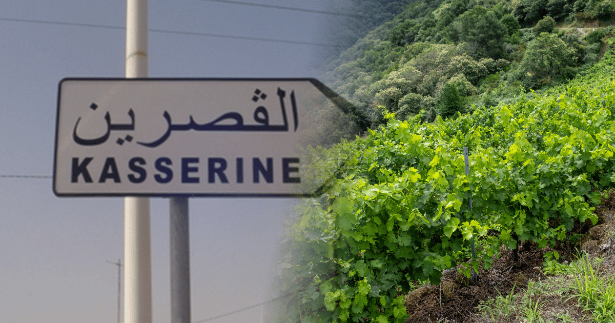 مشروع التنمية الفلاحية المندمجة