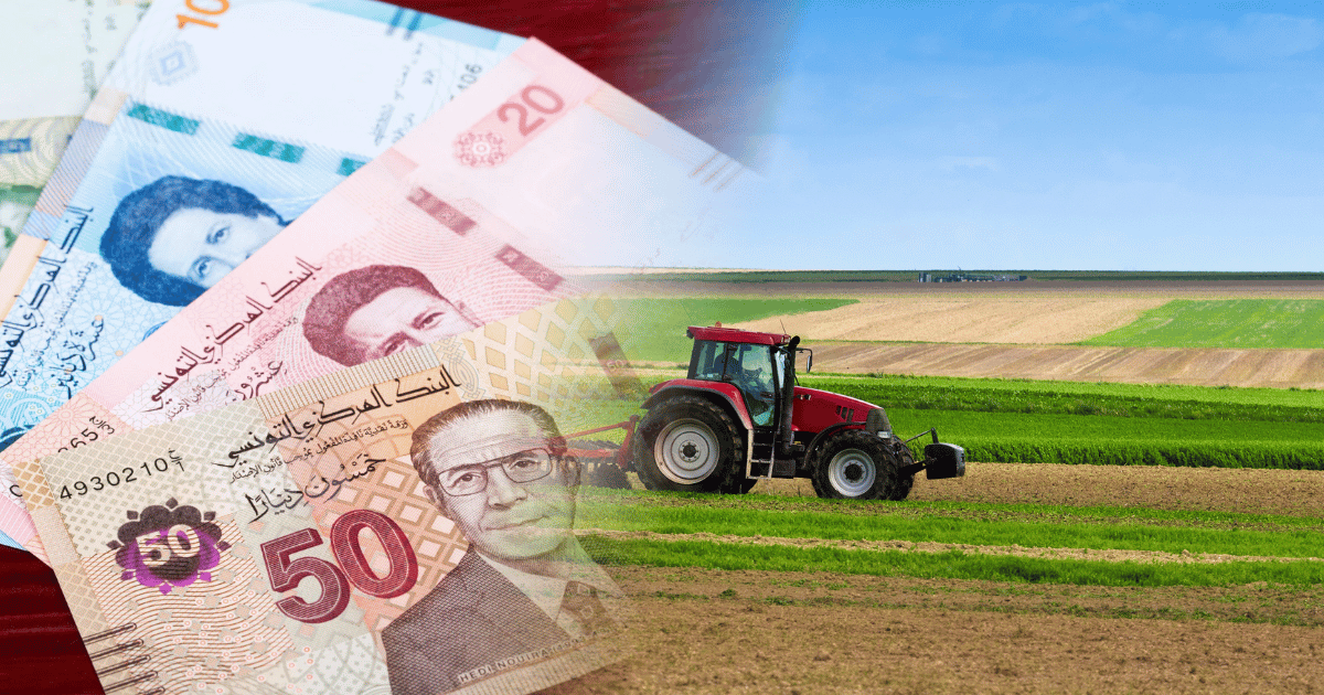 القروض الفلاحية من البنوك العمومية