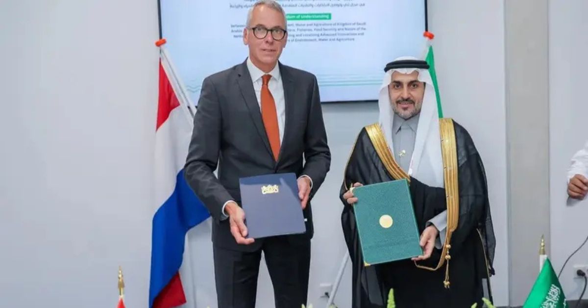 السعودية وهولندا