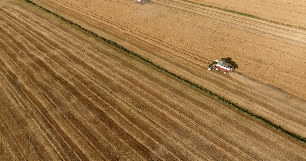 انتهاء الحصاد في زغوان