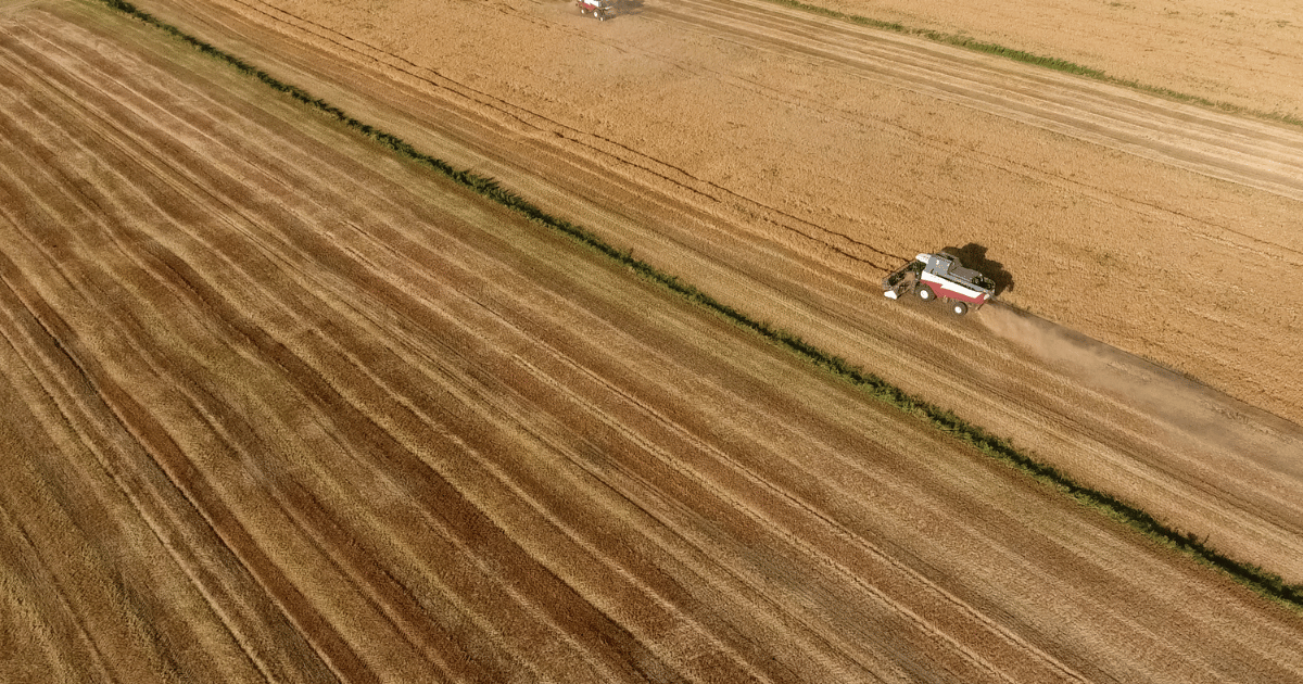 انتهاء الحصاد في زغوان