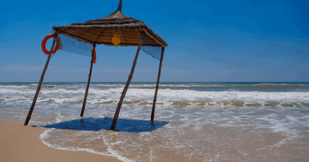 تآكل الشواطئ