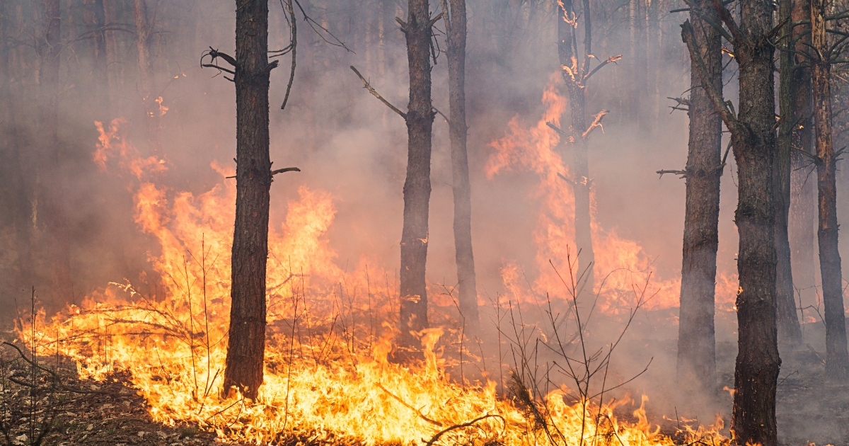 حرائق مبكرة تجتاح تركيا