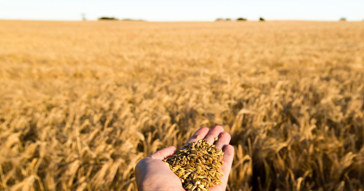 الحذر من أمطار محتملة