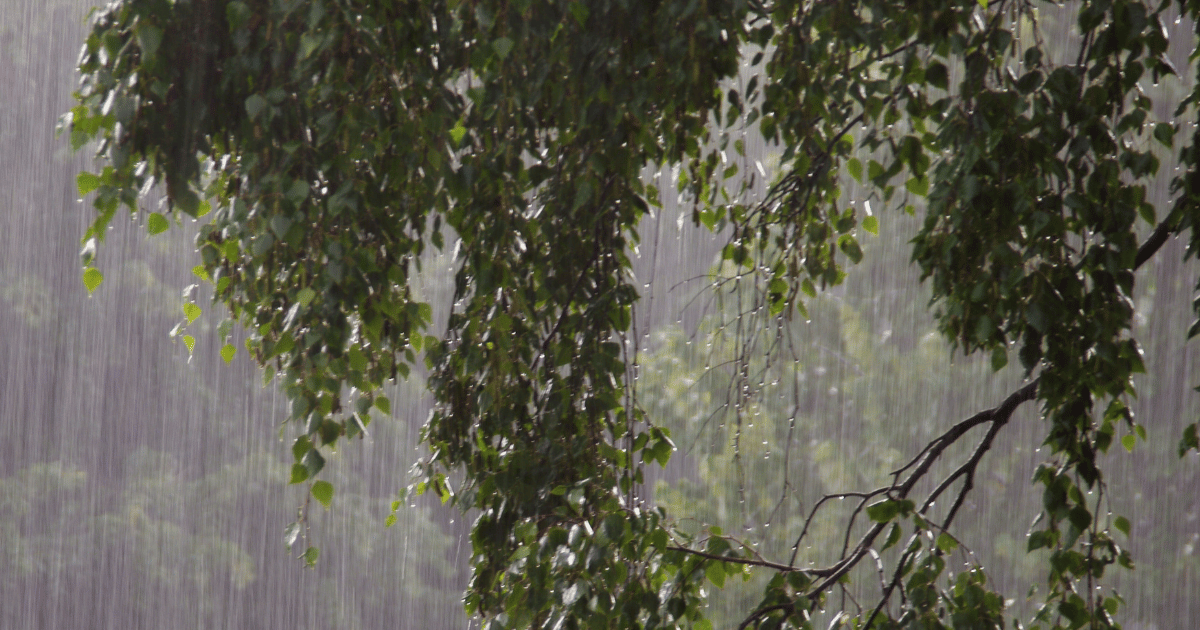 أمطار غزيرة مصحوبة بالبرد