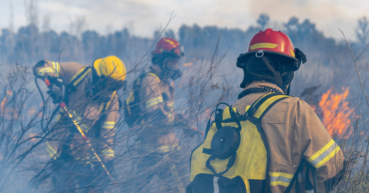 La France lutte contre le plus grand incendie de forêt de l&rsquo;année.