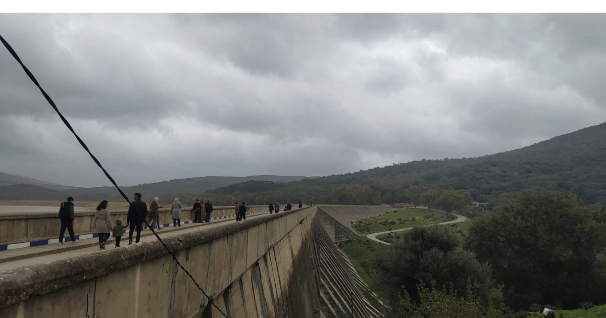 نسبة امتلاء السدود في تونس