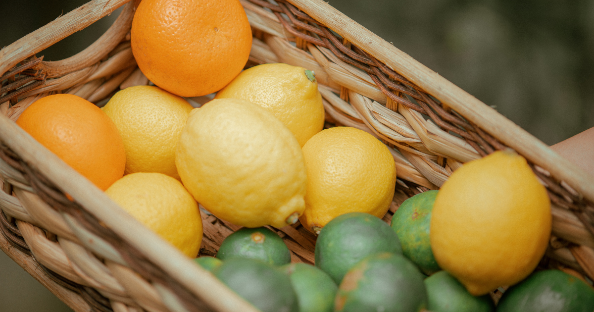 انتشار الذبابة المتوسطية للفواكه