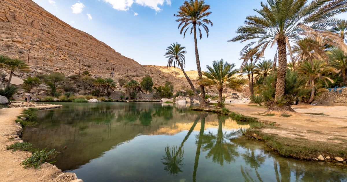 تضرر الواحات في ولاية قابس