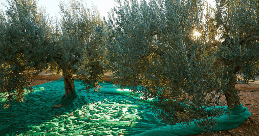 تحذير من تداعيات مادة المرجين