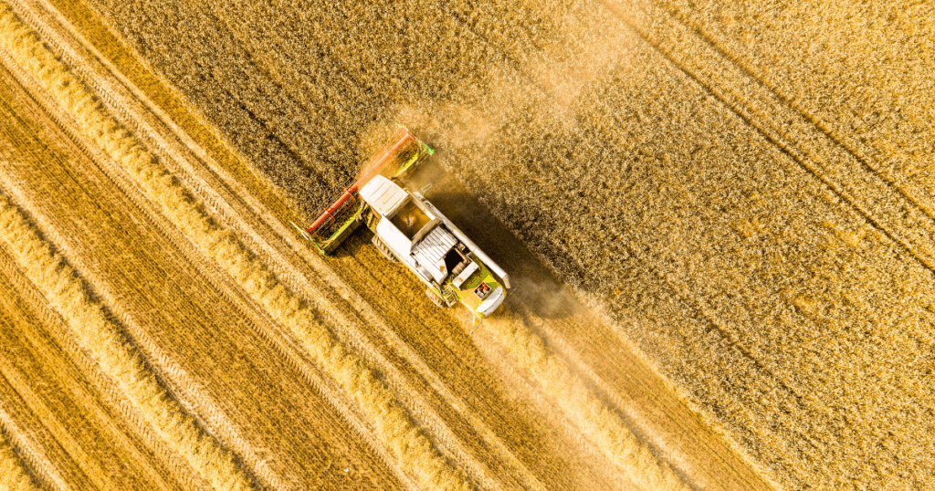 المساحة  المبرمجة للزراعات الكبرى