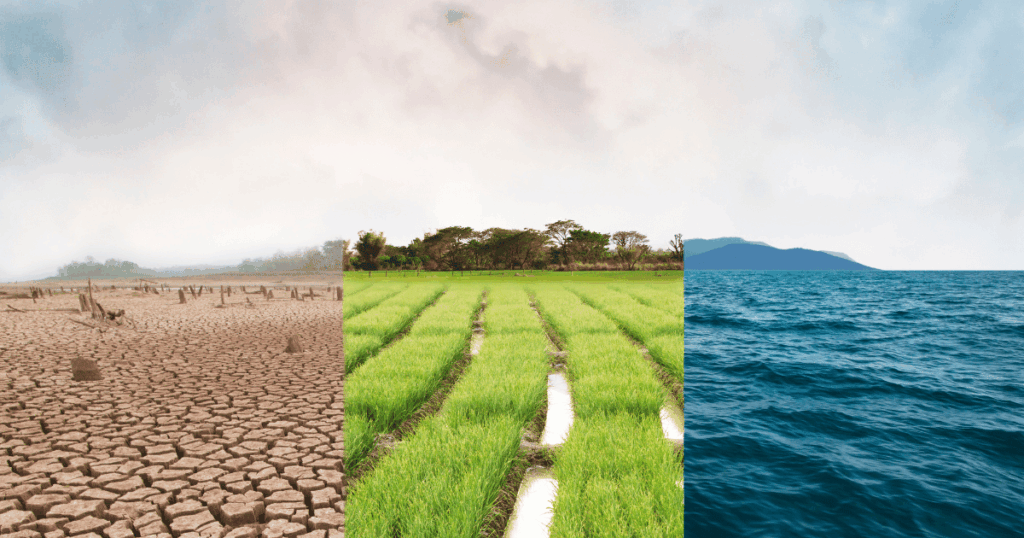 التغيرات المناخية والانتقال الطاقي