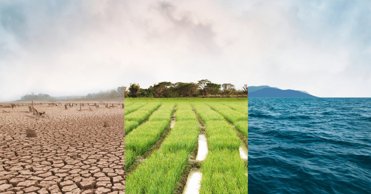 التغيرات المناخية والانتقال الطاقي