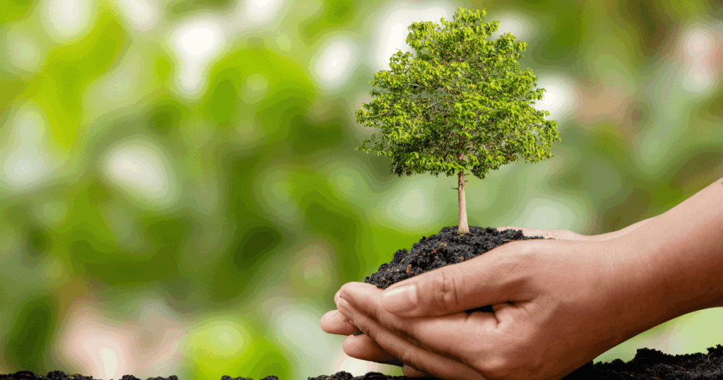 الحملة الوطنية للتشجير