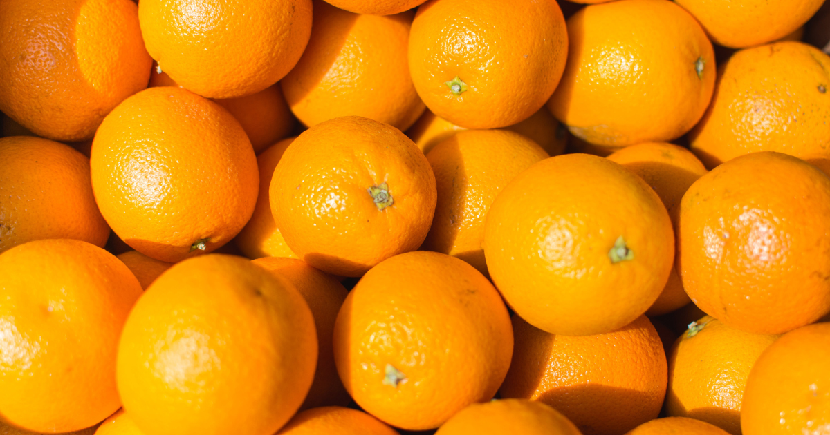 ينطلق موسم تصدير البرتقال المالطي