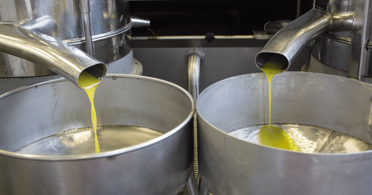 طلب تخزين زيت الزيتون لدى الخواص