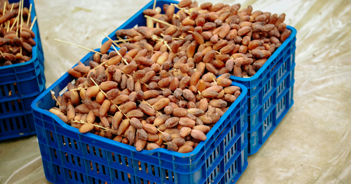 أسبوع التمور من المنتج إلى المستهلك