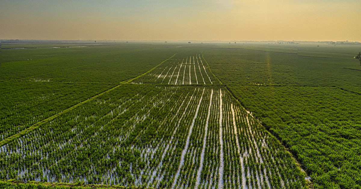 اتحاد الفلاحة بالقصرين
