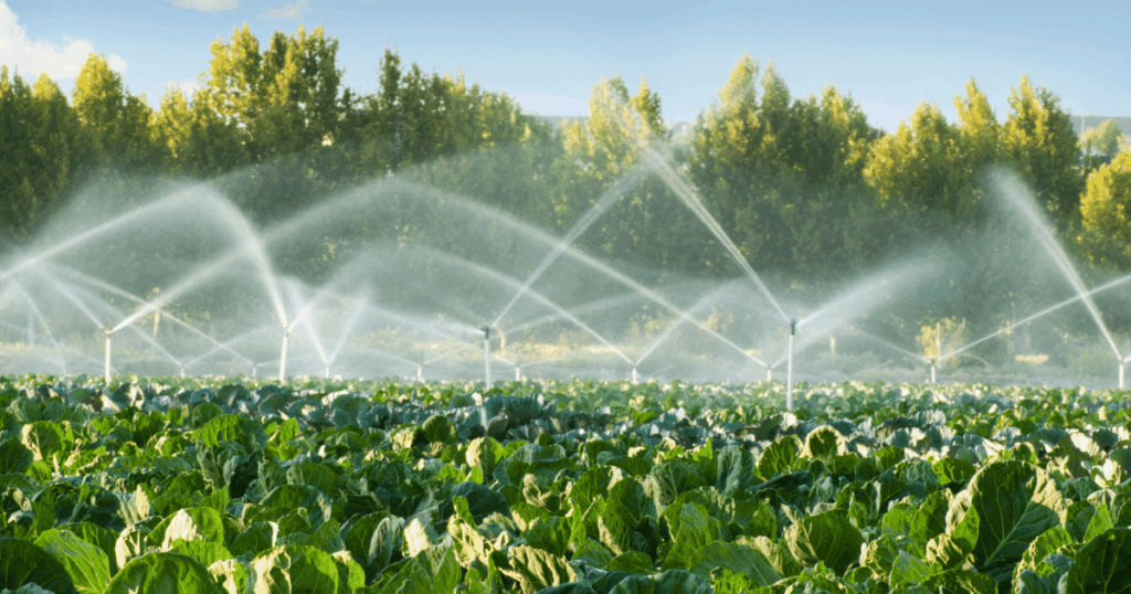 تقنيات الري